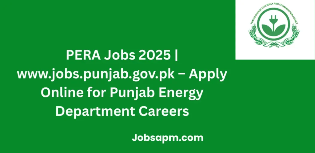 PERA Jobs 2025 | www.jobs.punjab.gov.pk – Apply Online for Punjab Energy Department Careers