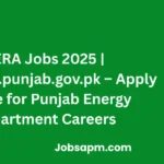 PERA Jobs 2025 | www.jobs.punjab.gov.pk – Apply Online for Punjab Energy Department Careers